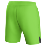 Explore the aston villa castore away goalkeeper shorts 2023-24 – kids – 13385917 with custom printing Collection of Aston Villa jerseys. Authentic, high-quality football shirts for every supporter, available worldwide.